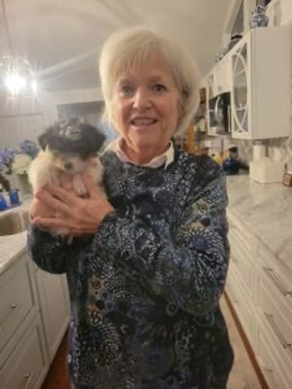 Customer photo of Yorkshire Terrier - Yorkie puppy from Deborah C.