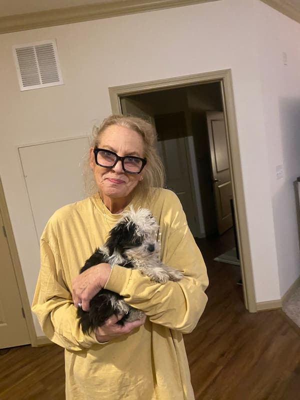 Customer photo of Aussiedoodle puppy from Kimberly L.