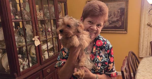 Customer photo of Yorkshire Terrier - Yorkie puppy from Donna D.
