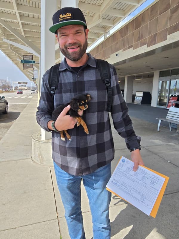 Customer photo of Cavapoo puppy from Josh Q.