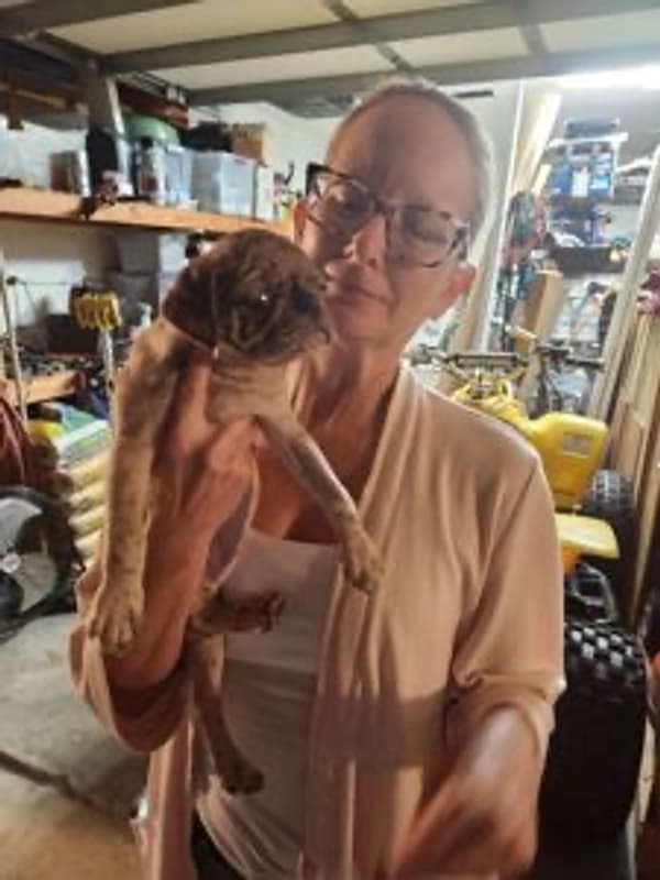 Customer photo of Pug puppy from Tonya H.