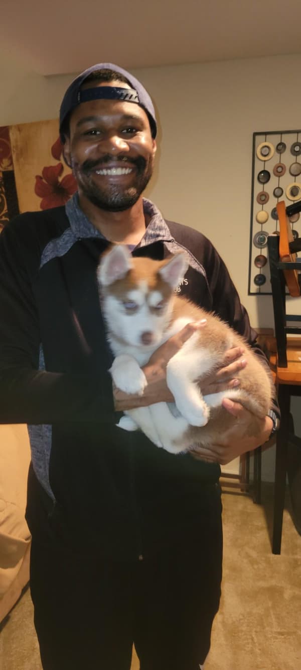 Customer photo of Siberian Husky puppy from Desmond T. 