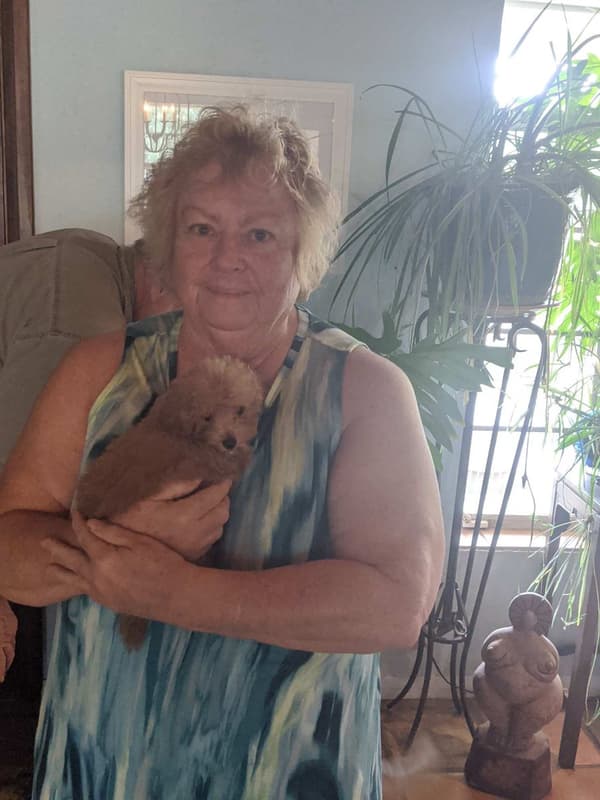 Customer photo of Poodle, Miniature puppy from Linda H.