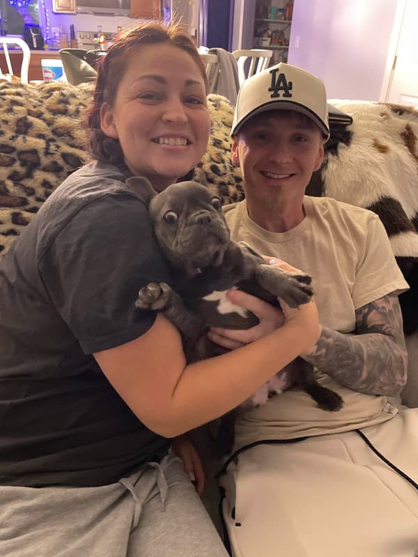 Customer photo of French Bulldog puppy from Amanda S.