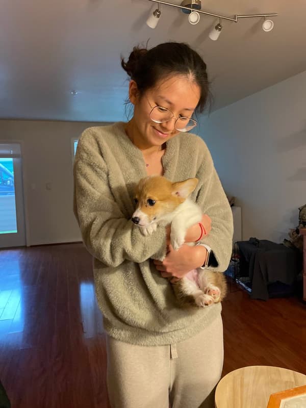 Customer photo of Corgi, Pembroke Welsh puppy from Henry J.
