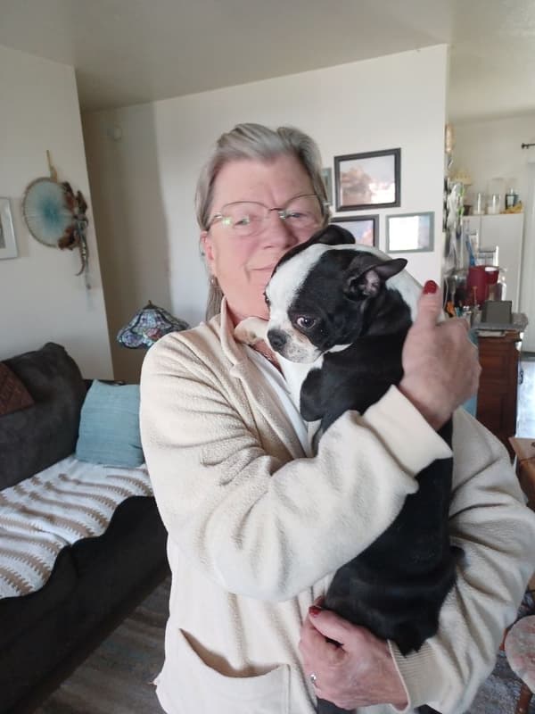 Customer photo of Boston Terrier puppy from Catherine P.