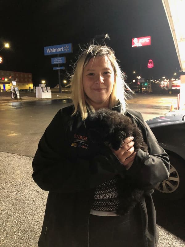 Customer photo of Shih-Poo - Shihpoo puppy from Maria M.