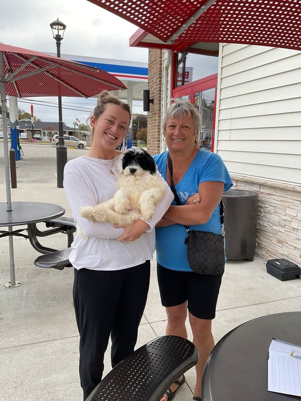 Customer photo of Portuguese Water Dog puppy from Debbie M. 