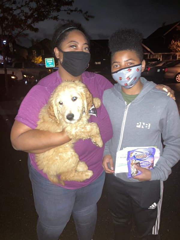 Customer photo of Goldendoodle puppy from Taylor P.