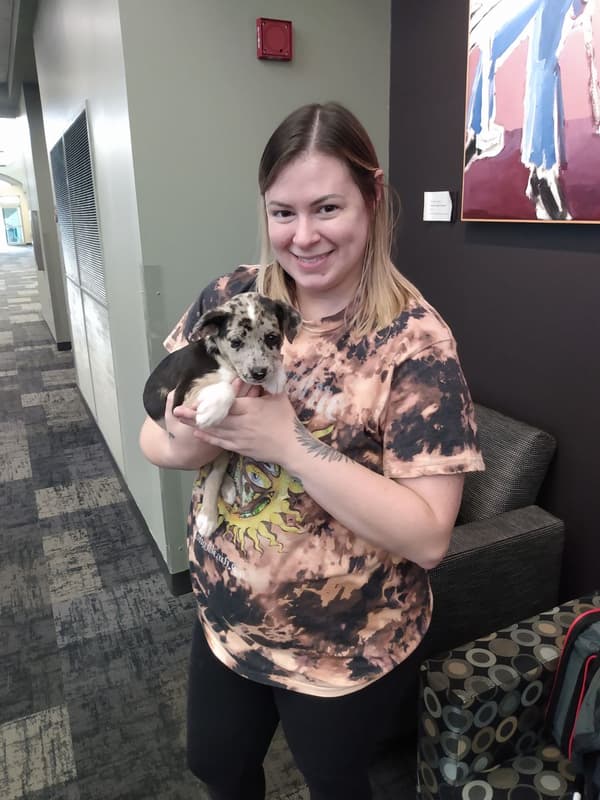 Customer photo of Miniature Australian Shepherd puppy from Caitlin S.