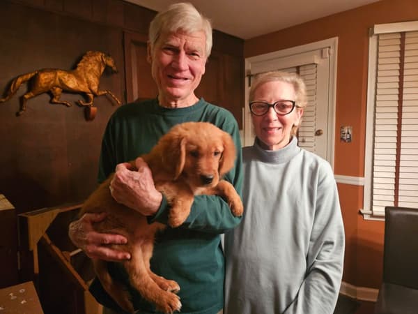 Customer photo of Golden Retriever puppy from Ornsteen J.