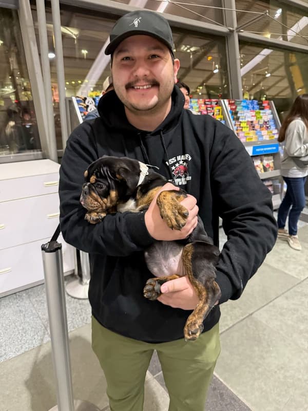 Customer photo of English Bulldog puppy from Jonathan D.