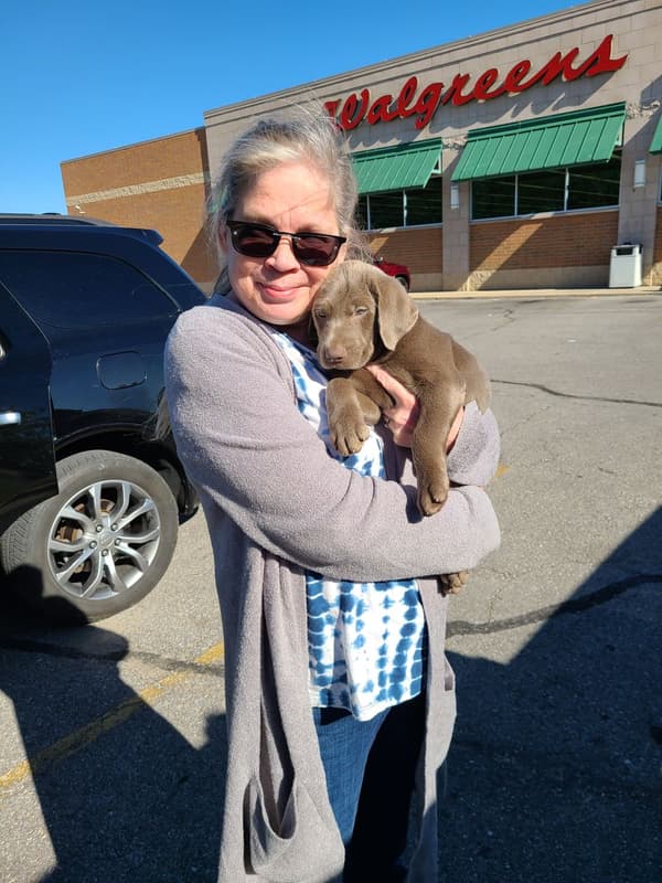 Customer photo of Labrador Retriever puppy from Lisa H.