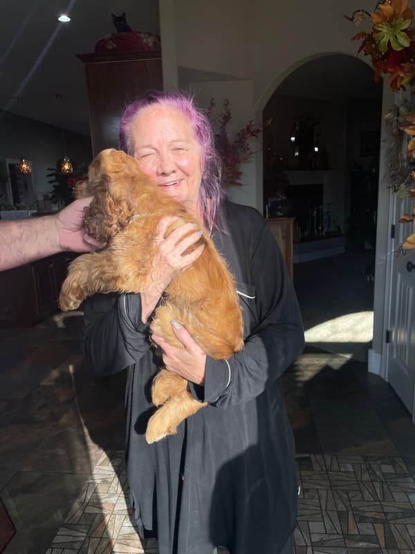 Customer photo of Cocker Spaniel puppy from Sondra H.