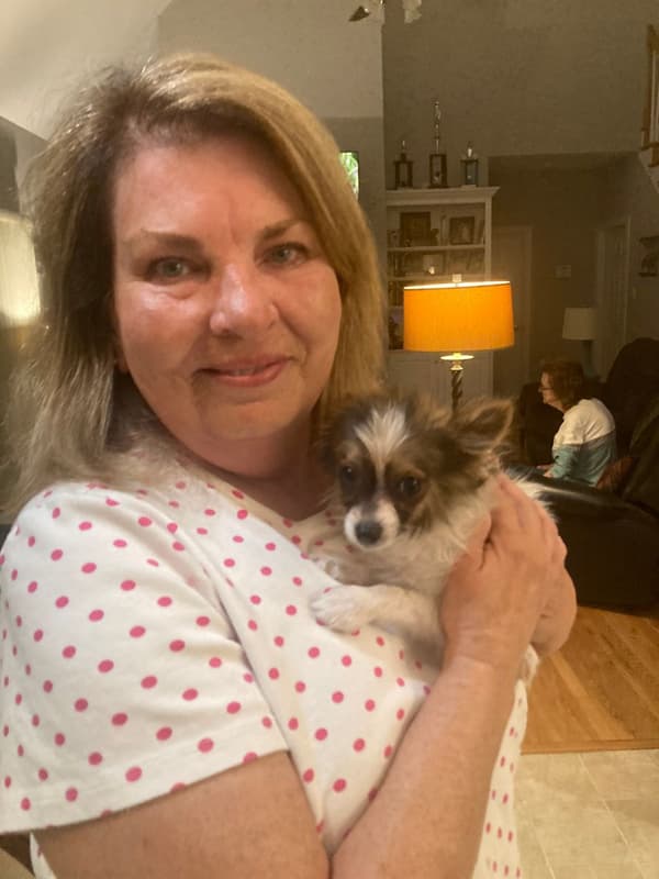 Customer photo of Pomeranian puppy from Debra K.
