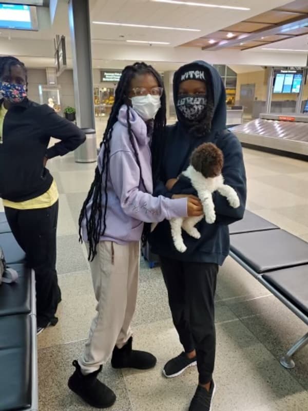 Customer photo of Labradoodle puppy from Angela W.