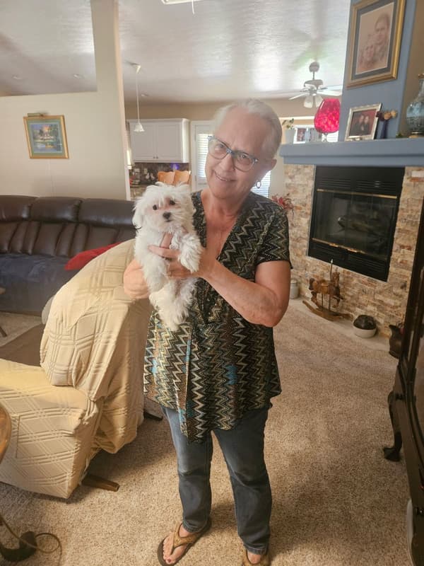 Customer photo of Maltese puppy from Vivian K.