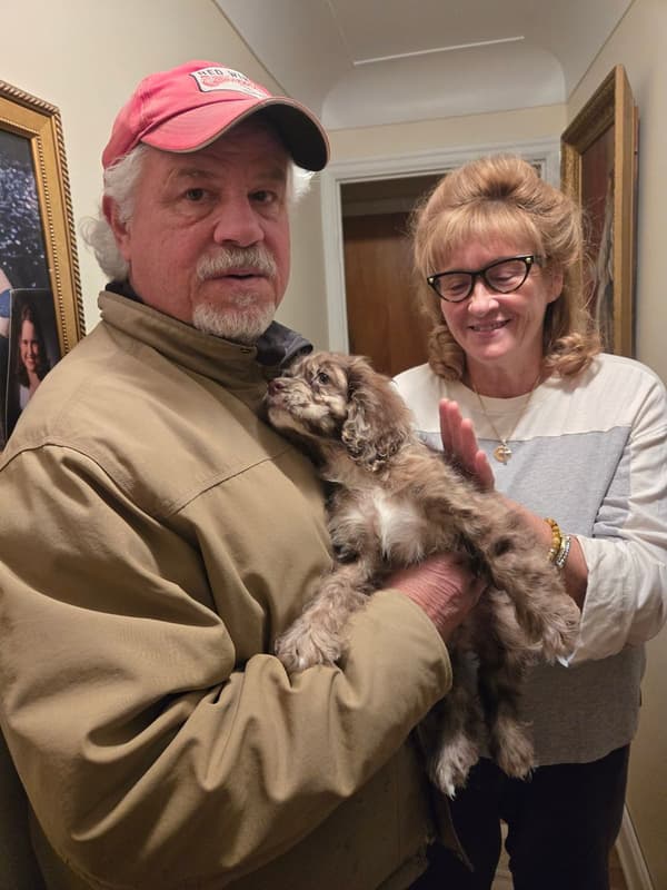 Customer photo of Cocker Spaniel puppy from Kim M.