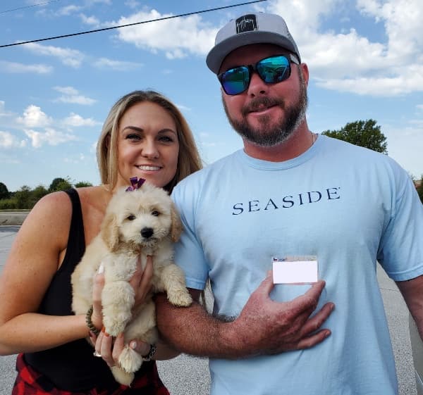 Customer photo of Aussiedoodle puppy from Pam K.