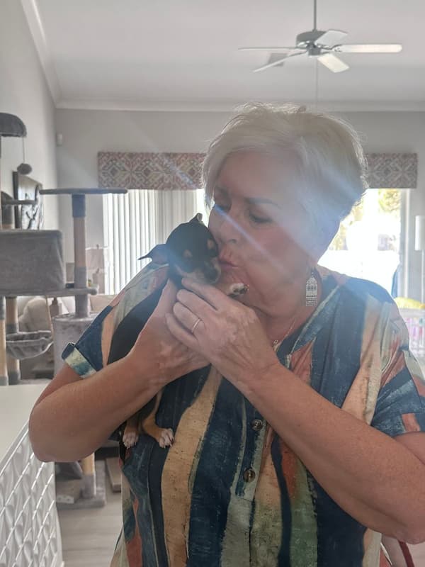 Customer photo of Chihuahua puppy from Denise Y.