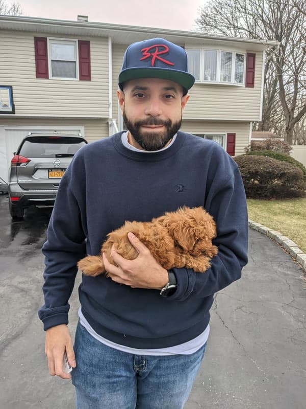 Customer photo of Shih-Poo - Shihpoo puppy from Randy M.