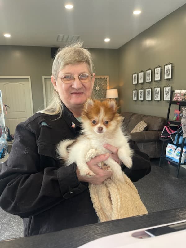 Customer photo of Pomeranian puppy from Lori B.