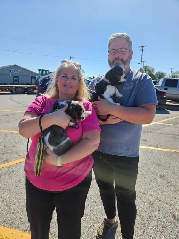 Customer photo of Cavalier King Charles Spaniel puppy from Monica J.