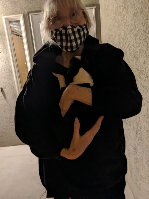 Customer photo of Boston Terrier puppy from Katherine L.