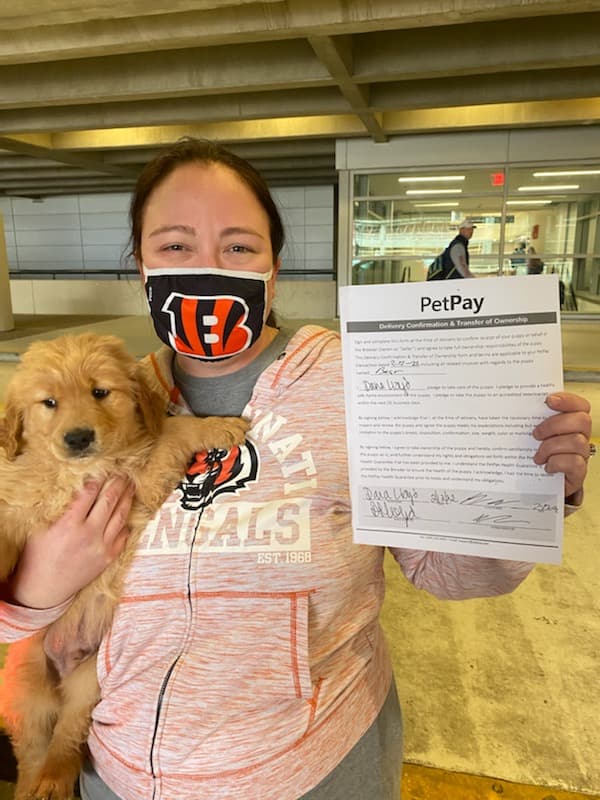 Customer photo of Golden Retriever puppy from Dana L.