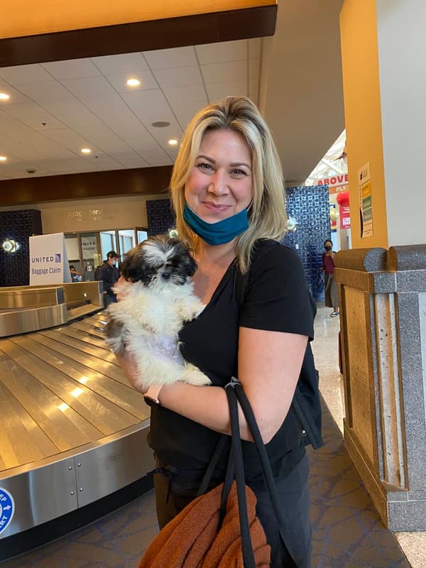 Customer photo of Shih Tzu puppy from Amy A.