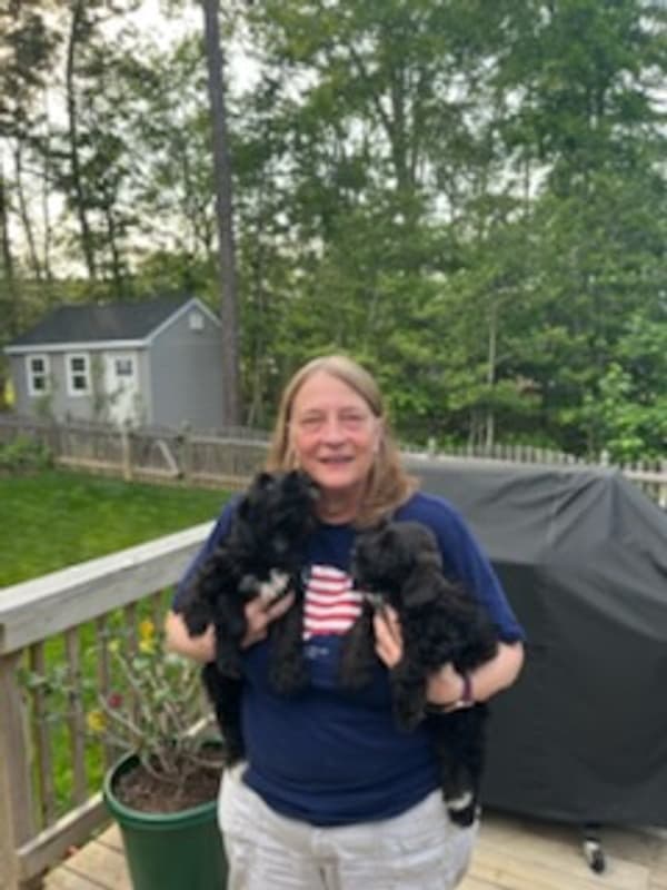 Customer photo of Schnauzer, Miniature puppy from Susan M.