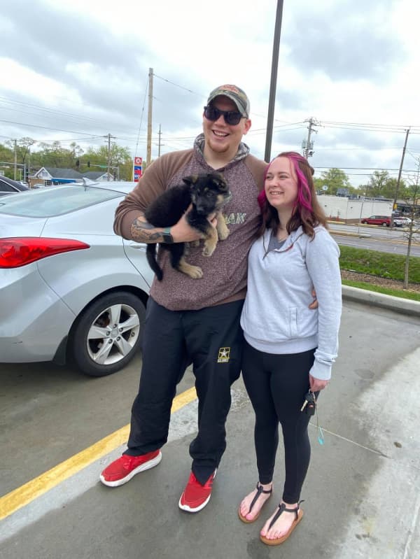 Customer photo of German Shepherd puppy from Halie K.