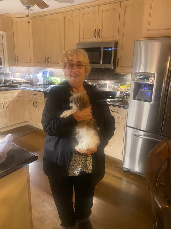 Customer photo of Havanese puppy from Josephine A.