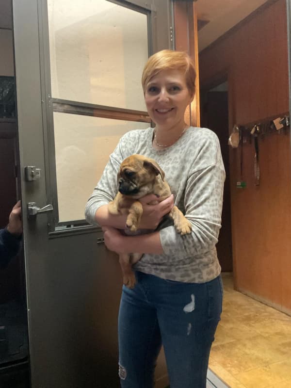 Customer photo of Beabull puppy from Julie K.