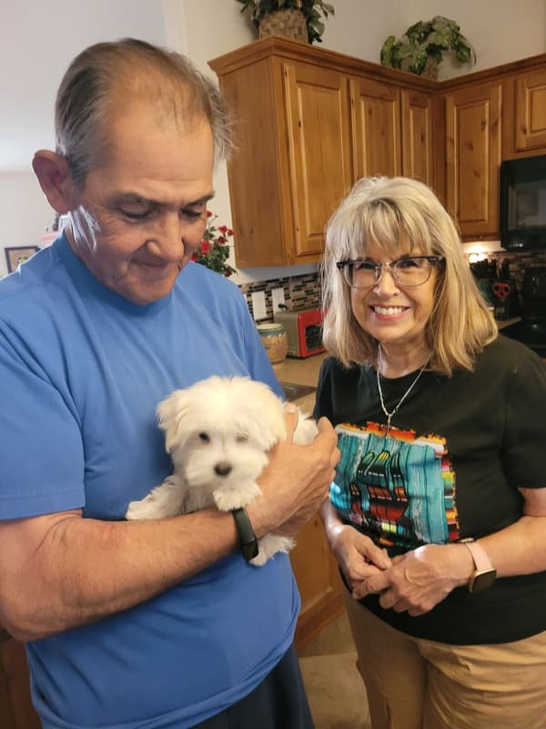 Customer photo of Maltese puppy from Susan G.