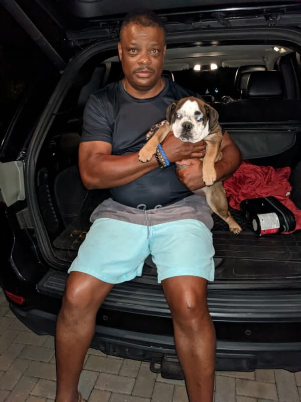 Customer photo of English Bulldog puppy from Wesley D.