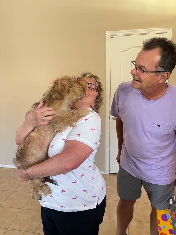 Customer photo of Yorkshire Terrier - Yorkie puppy from Kim M.