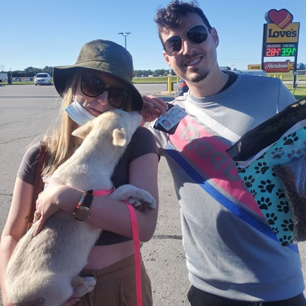 Customer photo of Siberian Husky puppy from Adam R.