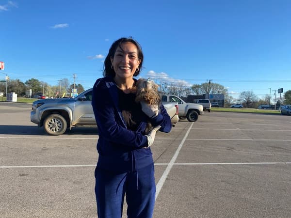 Customer photo of Yorkshire Terrier - Yorkie puppy from Benina C.