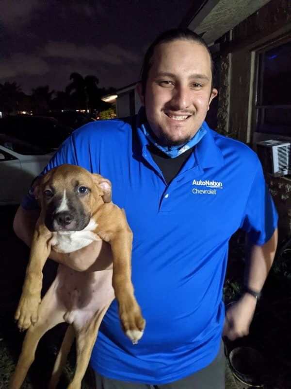 Customer photo of American Bully puppy from Robin F.