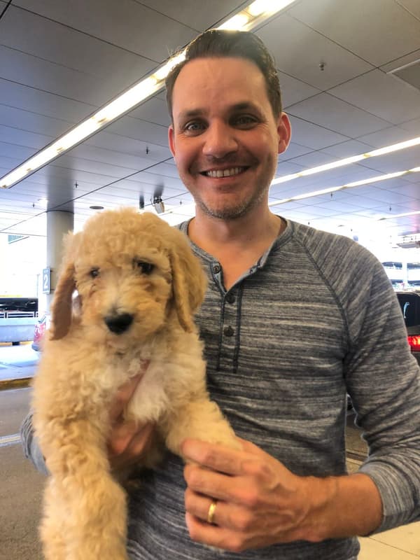 Customer photo of Labradoodle puppy from Alice and Allan P.