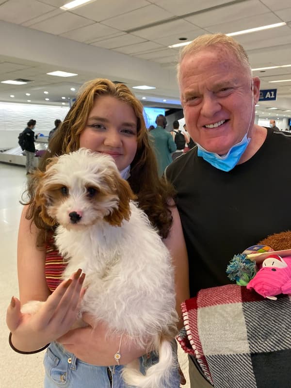 Customer photo of Cavapoo puppy from Dan C.