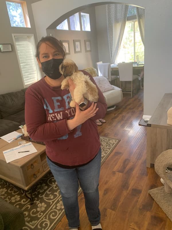 Customer photo of Shih Tzu puppy from Adrienne P. 