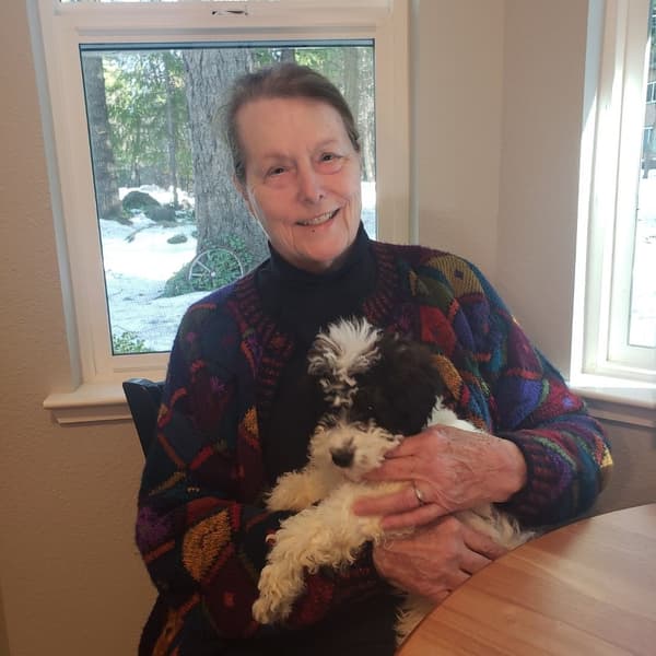 Customer photo of Labradoodle puppy from Sharron E.