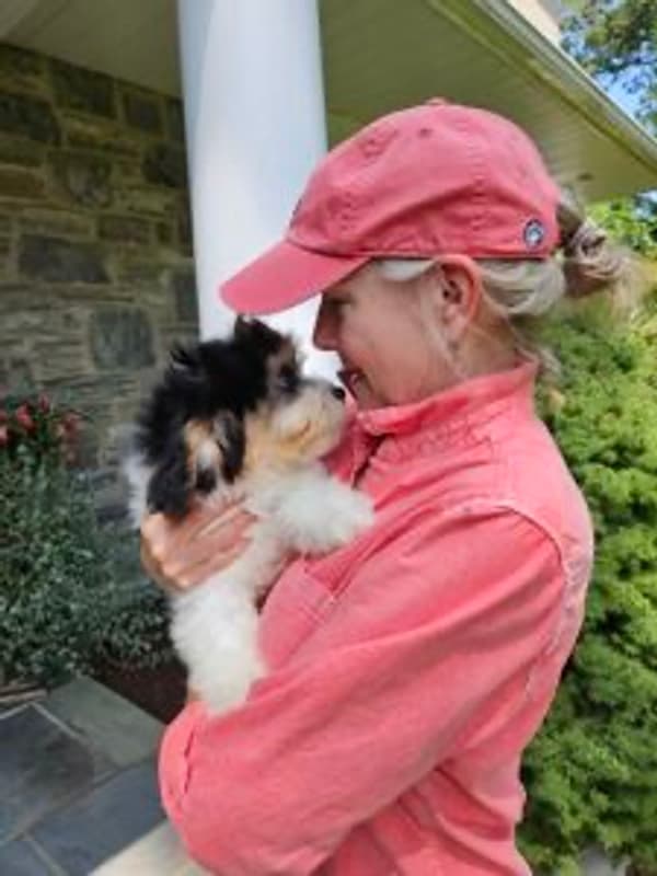 Customer photo of Cavachon puppy from Anita J.