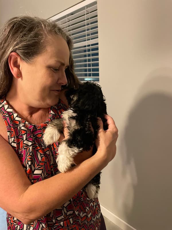 Customer photo of Havanese puppy from Catherine C.