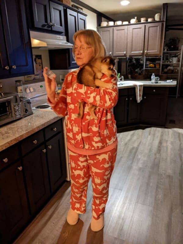 Customer photo of Pomsky puppy from Gwen W.
