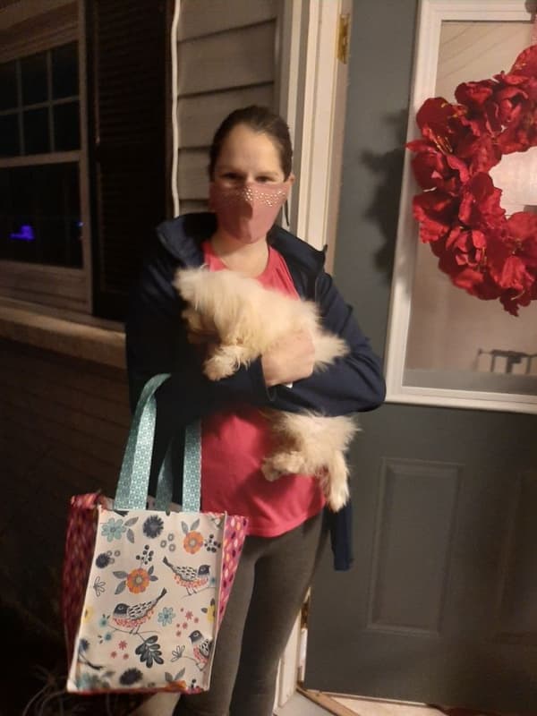 Customer photo of Havanese puppy from Hope H.