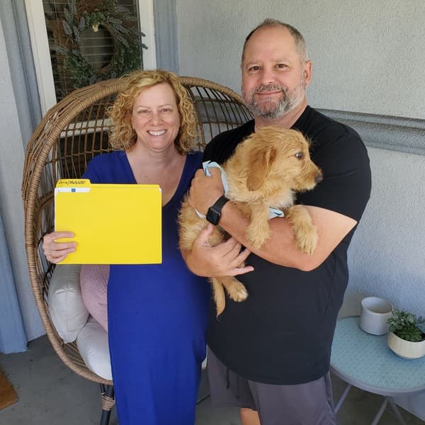 Customer photo of Goldendoodle, Mini puppy from Judy H.