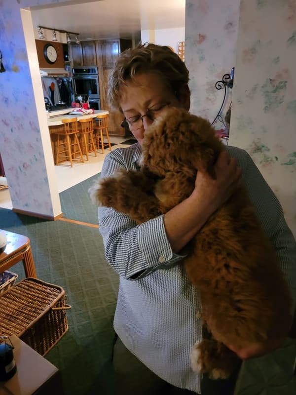 Customer photo of Poodle, Standard puppy from Michael S.